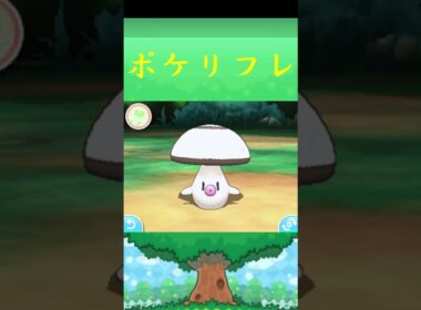 タマゲタケ*ポケモン ポケリフレ ポケパルレ #ポケモン #Pokemon  #3DS #nintendoswitch #ポケモンsv #ポケモン #キャンプ #サンドイッチ #ピクニック