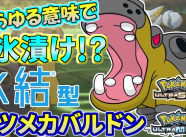 【ポケモンUSUM】この出会い、想定外。まさかの氷結型カバルドン！？【ウルトラサン/ウルトラムーン】