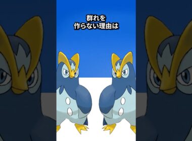 ポケモンの雑学3選Part390 #なぞはな #ポケモン #ポケモンカード #ポケモンオリジナルアニメ #ポケポケ #shorts #ポッタイシ #ニョロトノ #パラセクト