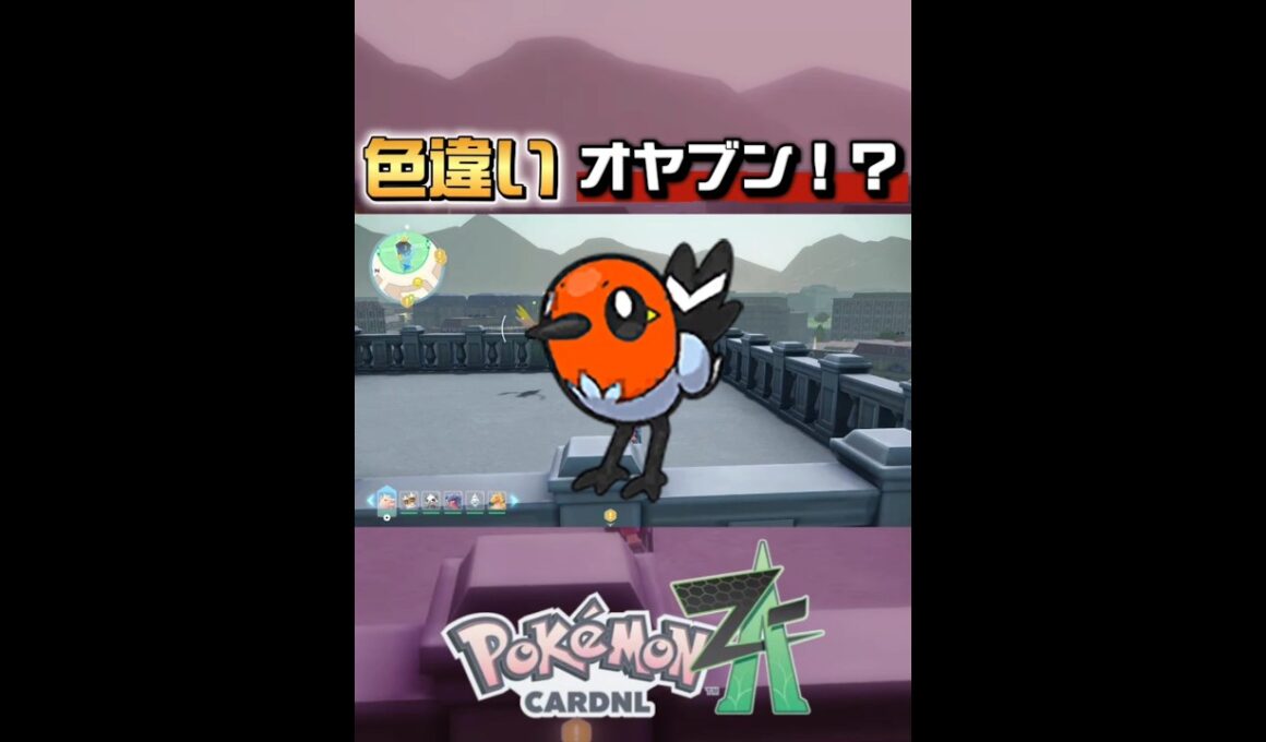 まさかのまたヤヤコマ色違い！？【ポケモンレジェンズZ-A】#shorts #ポケモンレジェンズza #色違い