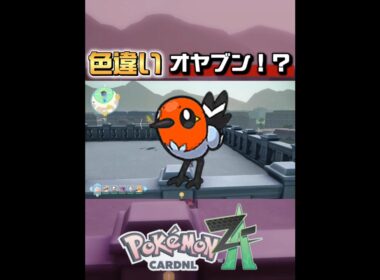まさかのまたヤヤコマ色違い！？【ポケモンレジェンズZ-A】#shorts #ポケモンレジェンズza #色違い
