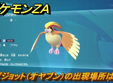 ポケモンＺＡ　ピジョット（オヤブン）の出現場所は？図鑑０２３　＃４４８　【Pokémon LEGENDS Z-A】