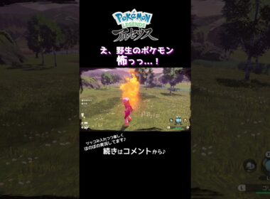 【ポケモン アルセウス #Shorts】ギャロップ怖えぇ…トラウマになるわ！