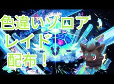 【ポケモンSV】　色違いゾロア配布中