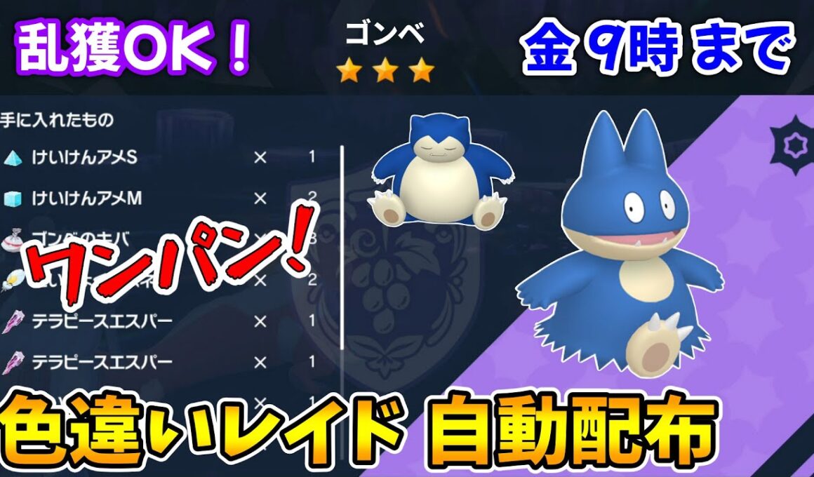 乱獲OK！ゴンベ色違いレイド自動配布会！【ポケモンSV】