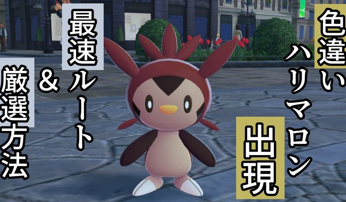 【ポケモンZA】色違いハリマロン出現！激レアポケモンの厳選ルートを徹底解説【入手方法】