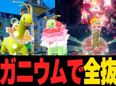 メガメガニウムで害悪構築破壊！ポケモンZAでバフがかかり降参強要。他【ポケモンSVランクマ／初心者がマスターボール級100位になるまでの成長日記。生放送切り抜きまとめ109】