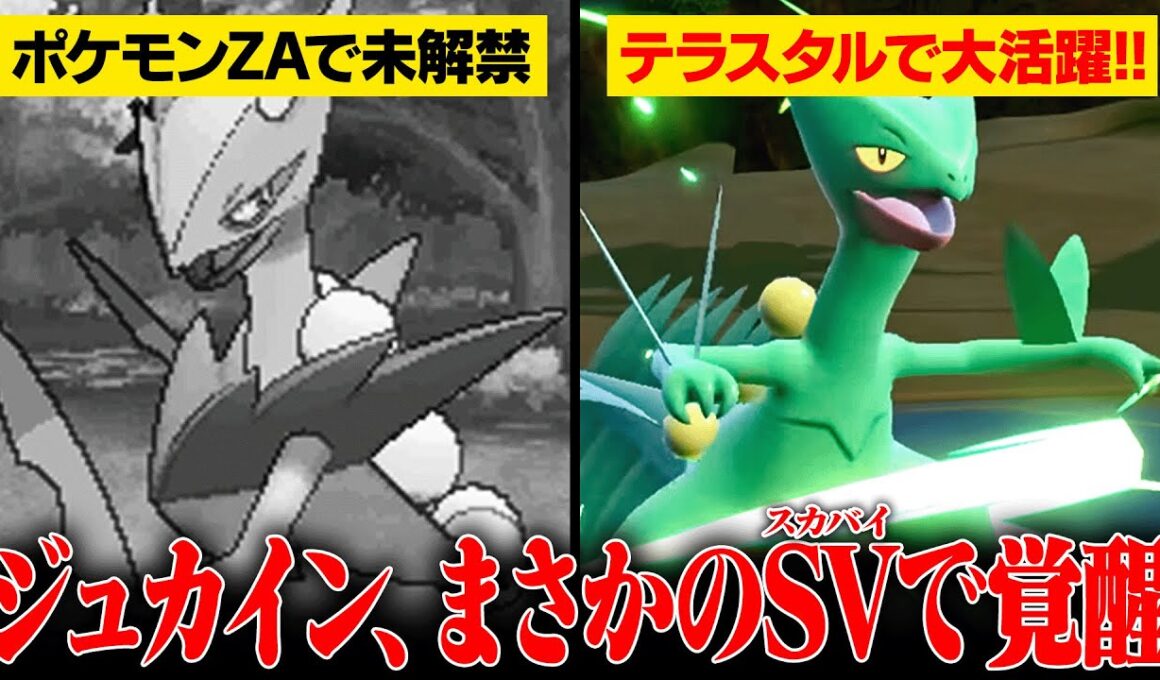 メガシンカ勢なのにリストラ中のジュカイン、まさかの「テラスタル環境」で大暴れwww【ポケモンSV】