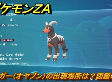 ポケモンＺＡ　ヘルガー（オヤブン）の出現場所は？図鑑０９２　＃４３６　【Pokémon LEGENDS Z-A】