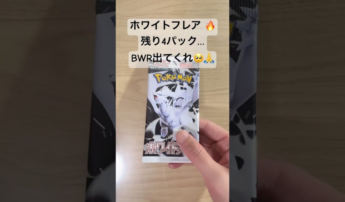 【ポケカ】残り4パック！レシラムexBWRは出るか！？ #ポケカ   #ポケモンカード   #ポケカ開封　 #ホワイトフレア   #shorts