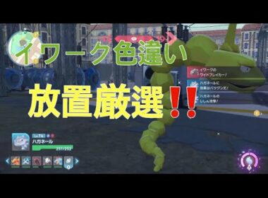 【ポケモンZA】イワーク色違い放置厳選挑戦してみる？