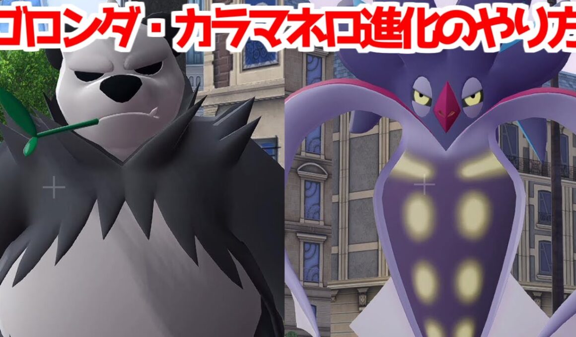 【ポケモンZA】ヤンチャム ゴロンダ マーイーカ カラマネロ 入手方法 進化方法 攻略 【Pokémon LEGENDS ジガルデ ポケモン レジェンズ ジガルデ】
