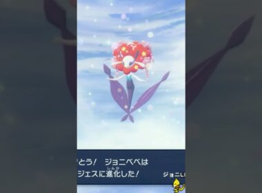 ひかるフラージェス#ポケモンレジェンズza #ポケモンza #pokemonlegendsza #pokemon