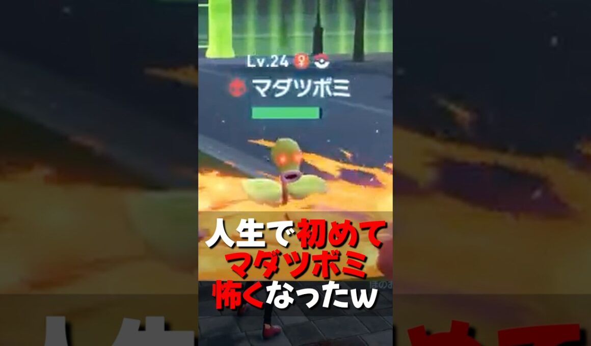 【レジェンズZA】人生で初めてマダツボミを怖いと思ったｗ【ポケモンレジェンズZA/Pokémon LEGENDS Z-A】