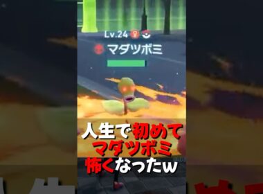 【レジェンズZA】人生で初めてマダツボミを怖いと思ったｗ【ポケモンレジェンズZA/Pokémon LEGENDS Z-A】