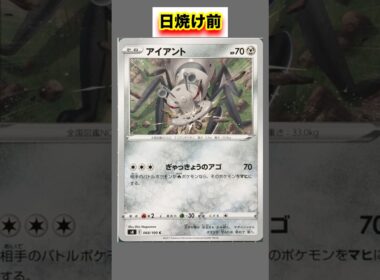 アイアントの日焼けポケカ #shorts