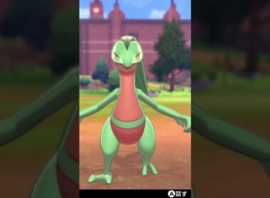 ジュプトル Grovyle【ポケモン剣盾】
