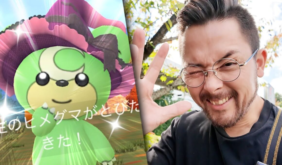 きたきたきた！！！色違いヒメグマ！！2匹ぃい！？？【ポケモンGO】