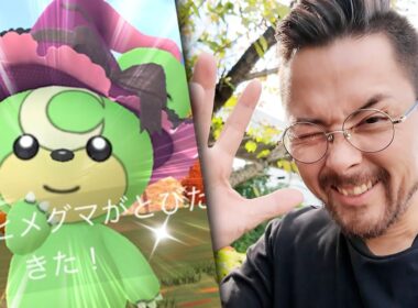 きたきたきた！！！色違いヒメグマ！！2匹ぃい！？？【ポケモンGO】