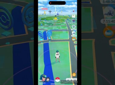 デカヒノアラシ #ポケモンgo #pokemon #ポケモン