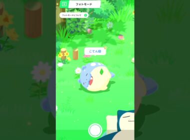 タマザラシ寝顔(☆1) in ワカクサ本島EX  - 通常編【ポケモンスリープ】 #pokémonsleep #ポケモン #ポケスリ #ポケモンスリープ