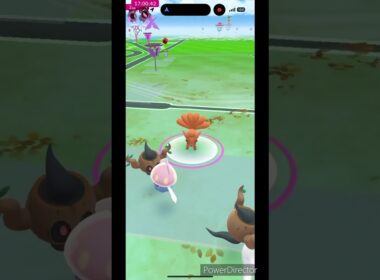 限定ロコン色違い✨レア #ポケモンgo #pokemon #ポケgo #ポケモン