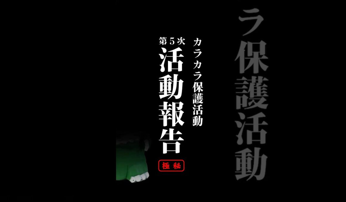 カラカラ保護活動 第5次活動報告　#ポケモン　#カラカラ　#ゴジハム #ハム太郎