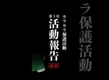 カラカラ保護活動 第5次活動報告　#ポケモン　#カラカラ　#ゴジハム #ハム太郎
