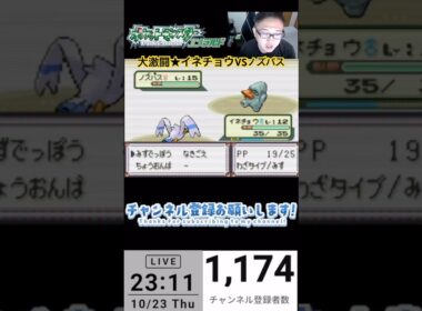 大激闘★イネチョウVSノズパスに興奮する西鍋