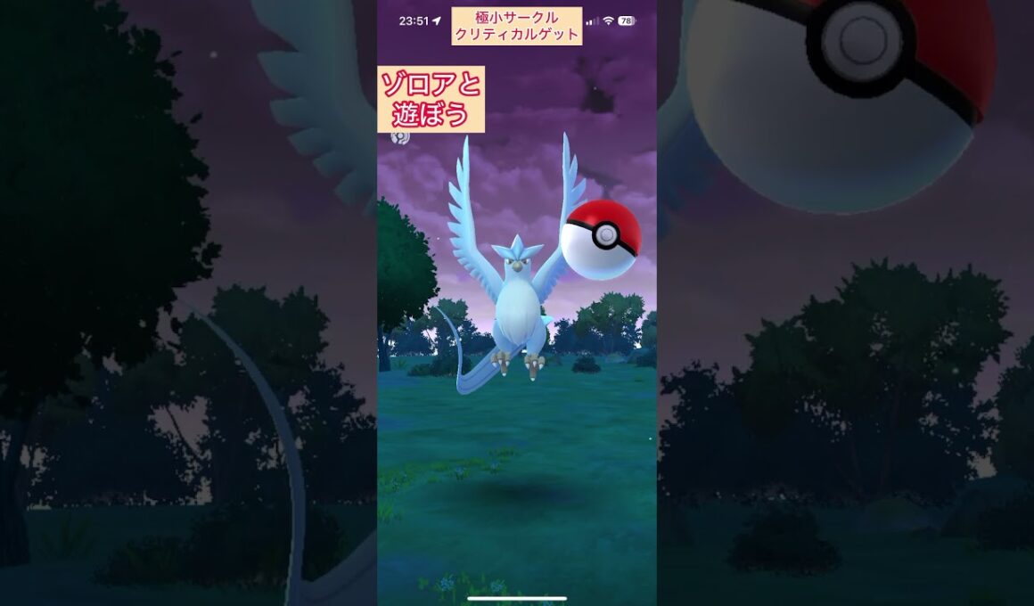 ゾロアと遊ぼう【難易度低】色違いフリーザー極小サークルクリティカルゲット【ポケモンGO】