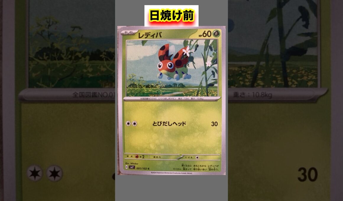 レディバの日焼けポケカ #shorts