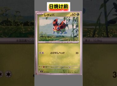 レディバの日焼けポケカ #shorts