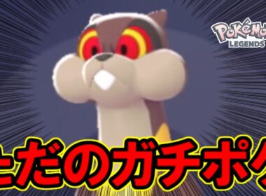【秘蔵】ミルホッグがこの世の全てをワンパンできる件。【ポケモンZA】