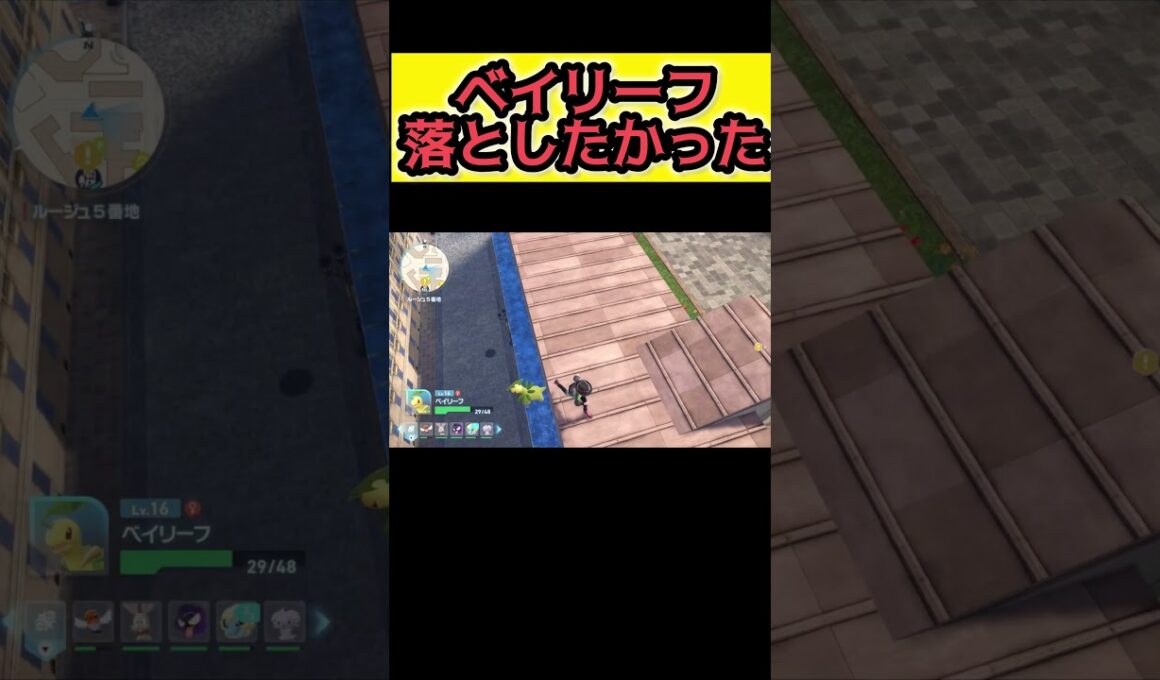 ベイリーフ落とせたと思ったら普通に真下に居た【Pokémon LEGENDS Z-A】#ポケモンレジェンズza #pokemonlegendsza #ポケモン #ポケモンza #pokemon