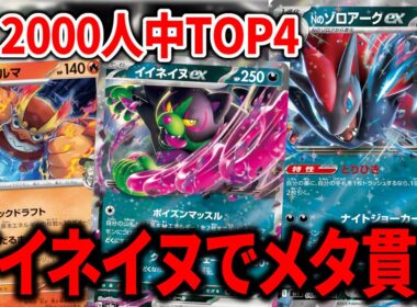 "イイネイヌex"を入れたNのゾロアークexが不利対面を克服して神デッキになりました【ポケカ】