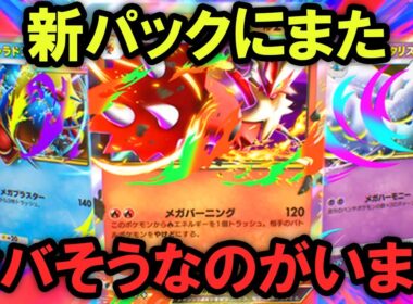 新パック「メガライジング」にヤバい奴がいました