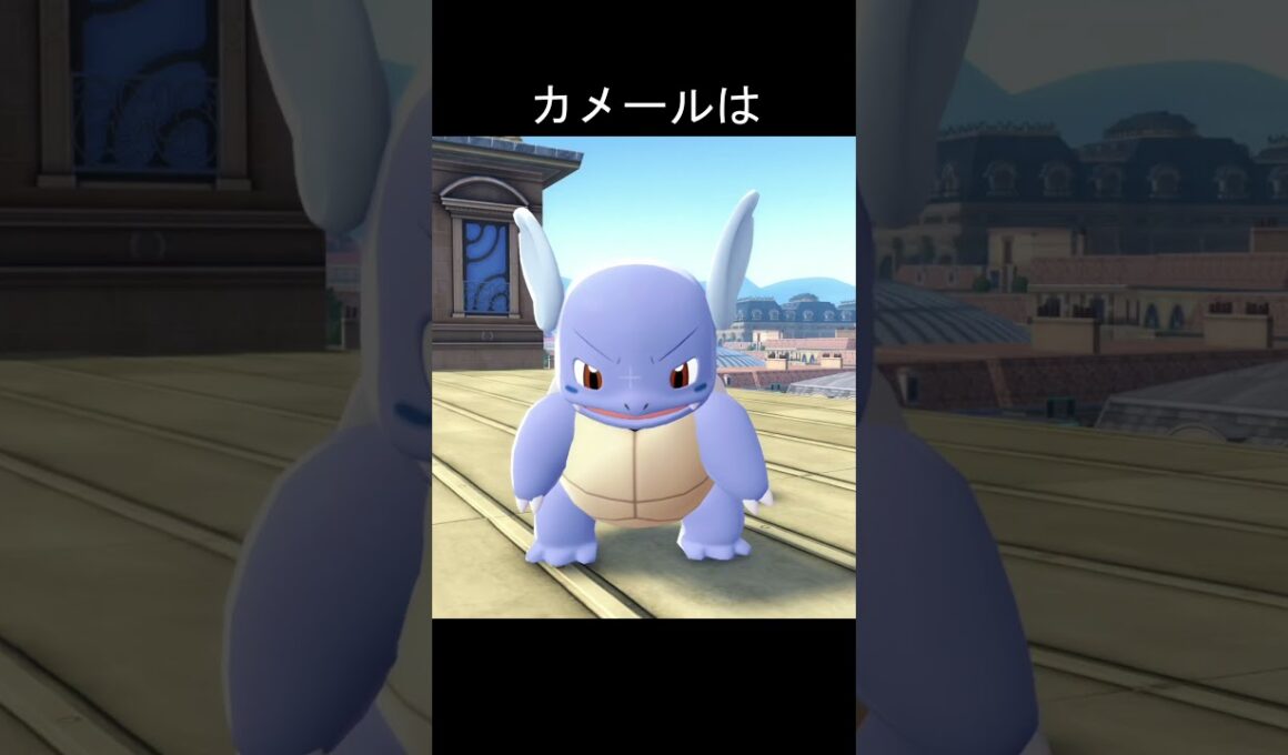 ゼニガメ、カメール、カメックス眠りかた　#ポケモン #ポケモンza #ゼニガメ #カメール #カメックス