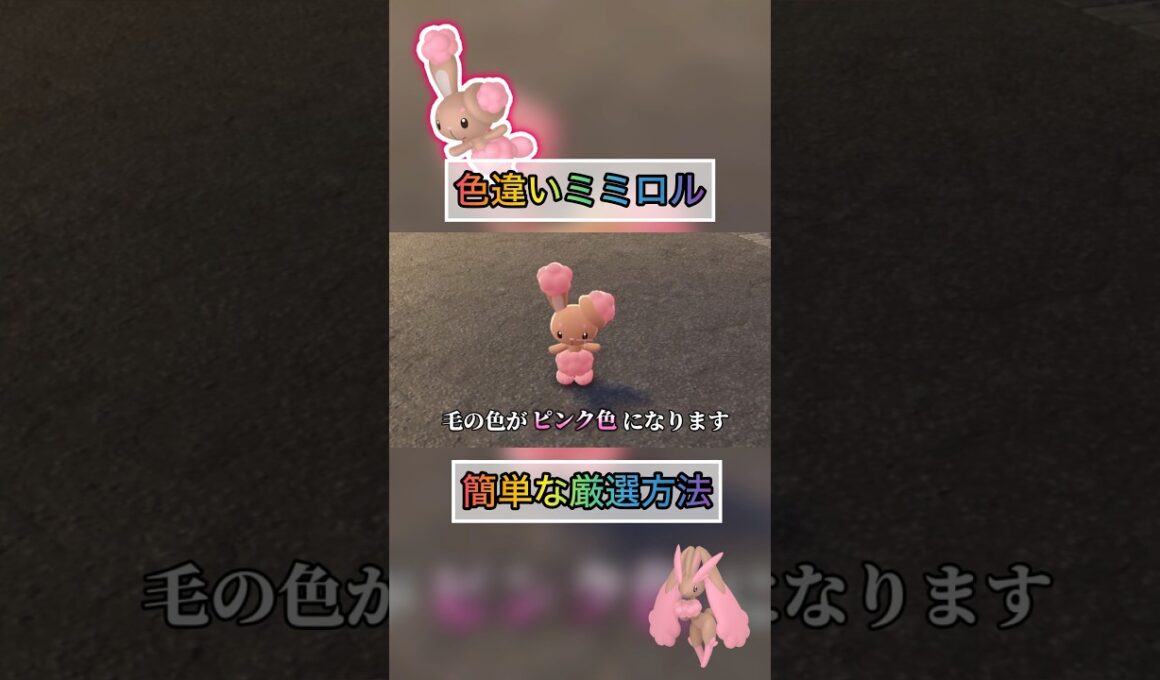 色違いミミロルの厳選方法はこれがオススメ笑【#ポケモンza 】