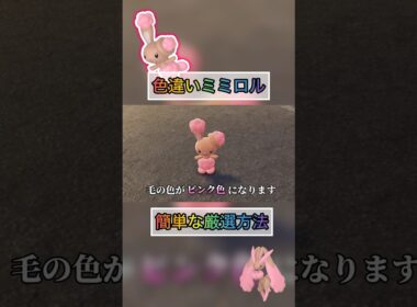 色違いミミロルの厳選方法はこれがオススメ笑【#ポケモンza 】