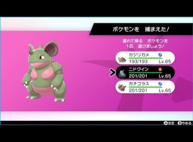 色違いニドクイン