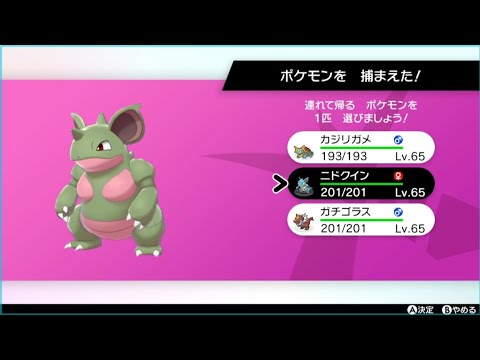 色違いニドクイン