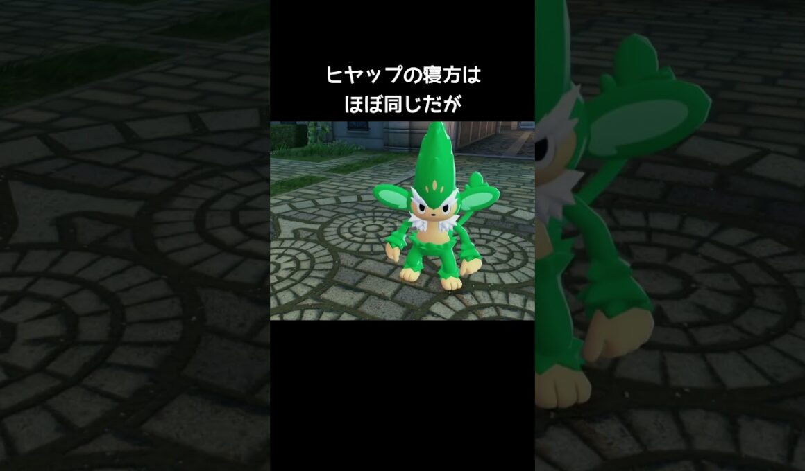 3猿の寝方の違い【ポケモンZA】