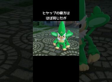 3猿の寝方の違い【ポケモンZA】