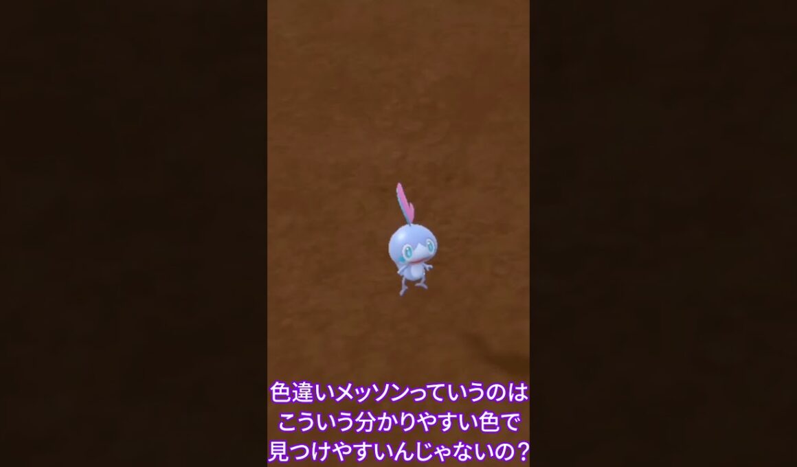 【ポケモンSV】色違いメッソン探し、激ムズでした #ポケモンsv