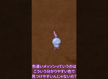 【ポケモンSV】色違いメッソン探し、激ムズでした #ポケモンsv
