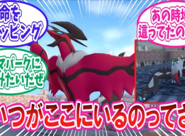 【ポケモンZA】今作では影の薄いまま出番を終えたゼルネアスとイベルタルに対するトレーナー達の反応集【ポケモン反応集】