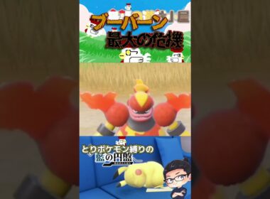 【-ポケモン-SV-】またしても何も知らないブーバーン  #ポケモン #youtubeshorts #配信 #鳥頭 #shorts #youtube #切り抜き #ゼロの秘宝