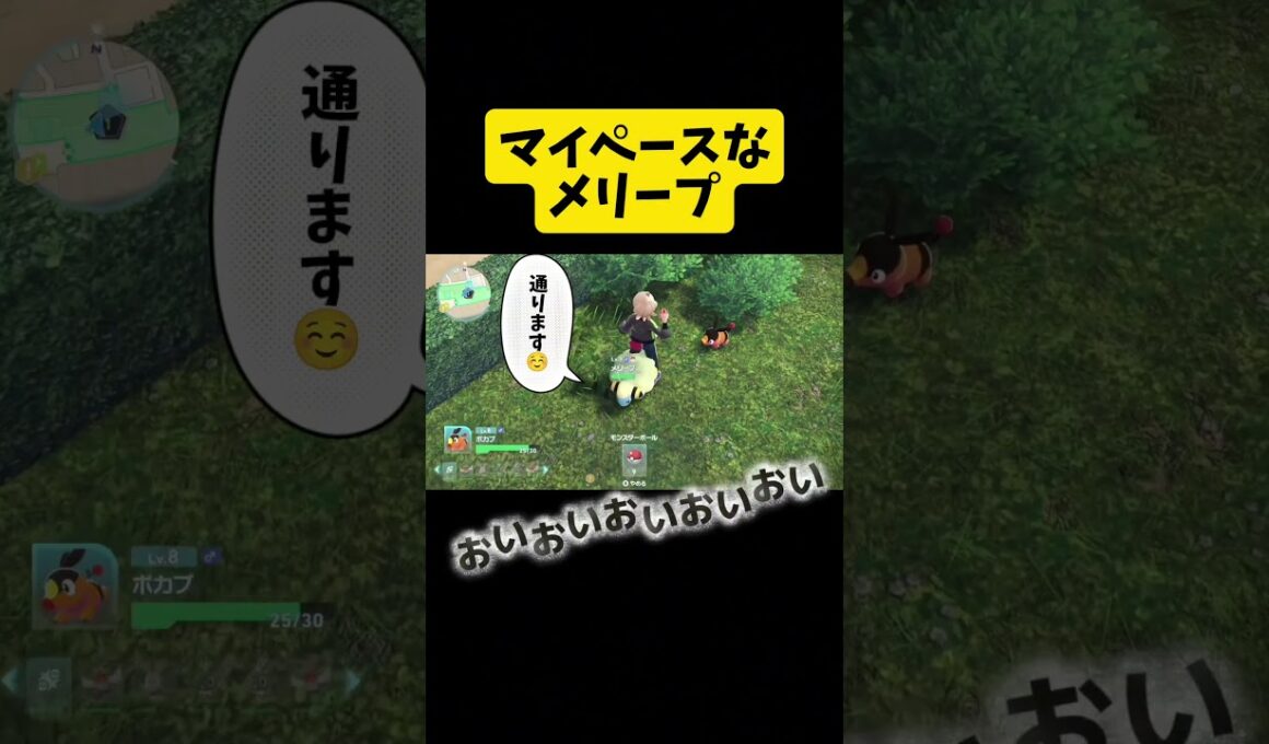マイペースなメリープ #ポケモン #ポケモンza