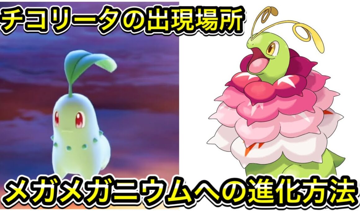 【レジェンズZA】チコリータの出現場所！メガメガニウムへの進化方法を解説