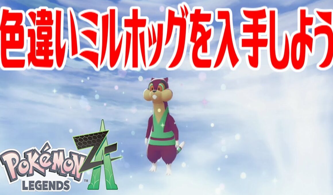 【ポケモンZ-A】色違いミルホッグを入手しよう 進化入手【Pokémon LEGENDS Z-A】